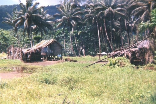 Каза - будиночок, в якому живе більшість населення Сан-Томе і Принсіпі