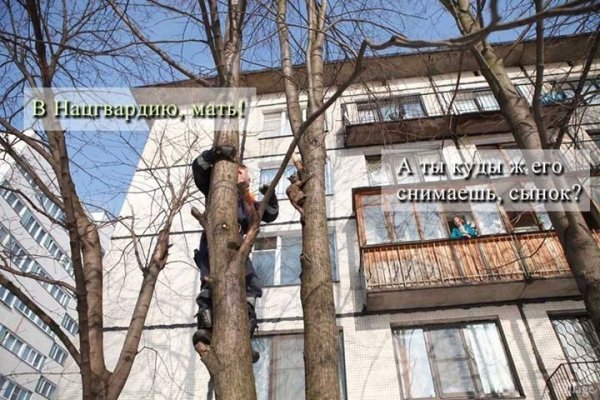 «Зніміть мене в Нацгвардію!»: українці «стібуться» з допису російської журналістки. ФОТО  