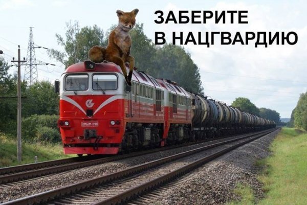 «Зніміть мене в Нацгвардію!»: українці «стібуться» з допису російської журналістки. ФОТО  