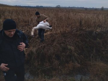 На Волині браконьєри застрелили лебедя. ФОТО