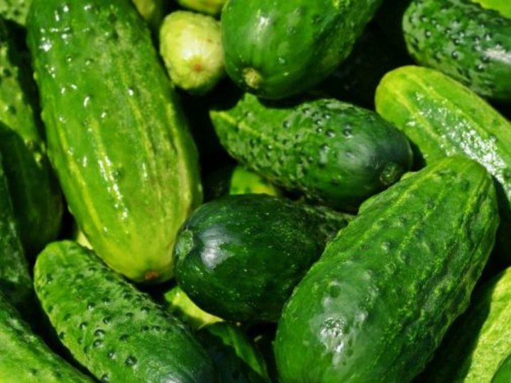 Низький попит призвів до зниження цін на огірки в Україні