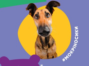 У «Промені» пройде фестиваль безпритульних собак*