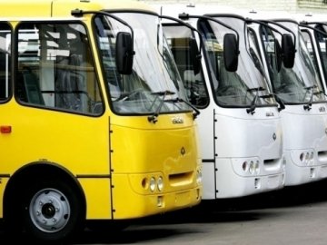 У Луцьку немає перевізників на 5 маршрутах