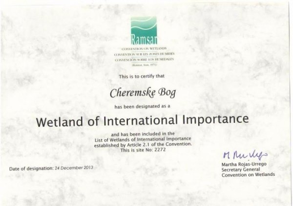 Унікальне болото на Волині визнали у світі
