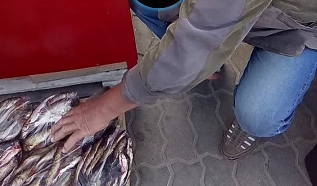 На одному з ринків Шацька чоловік продавав «незаконну» рибу