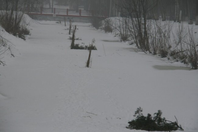 У луцькому парку рубають ополонки, щоб врятувати рибу. ФОТО
