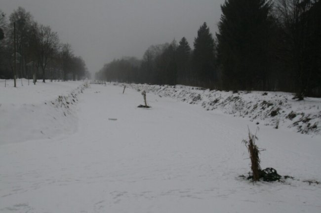 У луцькому парку рубають ополонки, щоб врятувати рибу. ФОТО