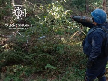 Волинські рятувальники розміновують Донеччину