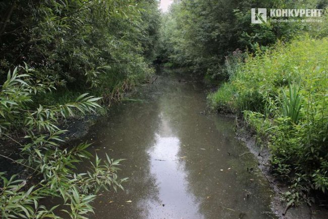 Лучани знову засмітили місце, де нещодавно проводили загальноміську толоку. ФОТО