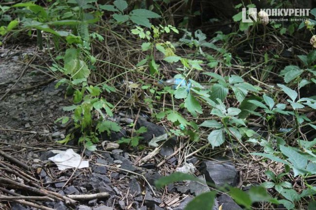 Лучани знову засмітили місце, де нещодавно проводили загальноміську толоку. ФОТО