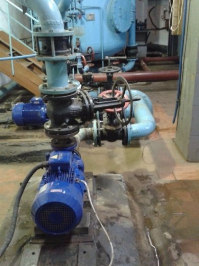 Центральний басейн Луцька в оновленому вигляді розпочав свою роботу. ФОТО