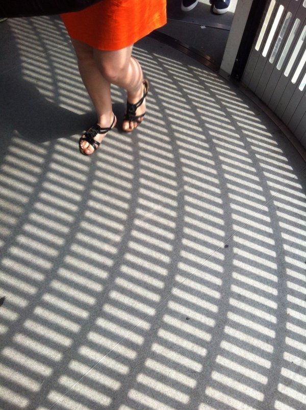 Фотовиставка Лідії Кожевнікової