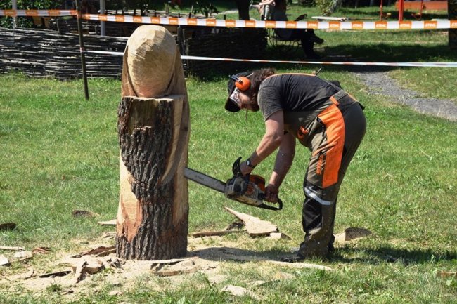 У Луцьку на місцях зрізаних дерев хочуть робити скульптури