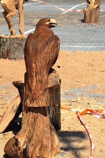 У Луцьку на місцях зрізаних дерев хочуть робити скульптури