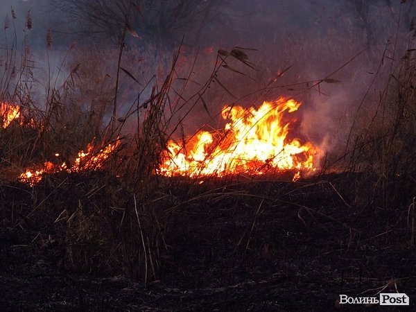 У Луцьку - чергова пожежа Гнідавського болота. ФОТО. ОНОВЛЕНО