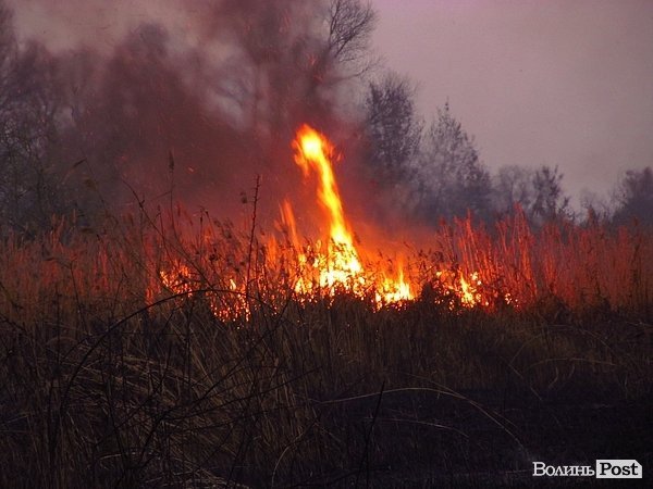 У Луцьку - чергова пожежа Гнідавського болота. ФОТО. ОНОВЛЕНО