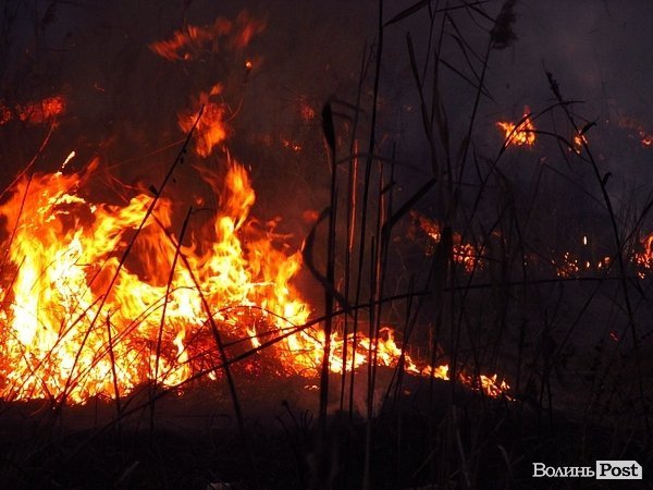 У Луцьку - чергова пожежа Гнідавського болота. ФОТО. ОНОВЛЕНО