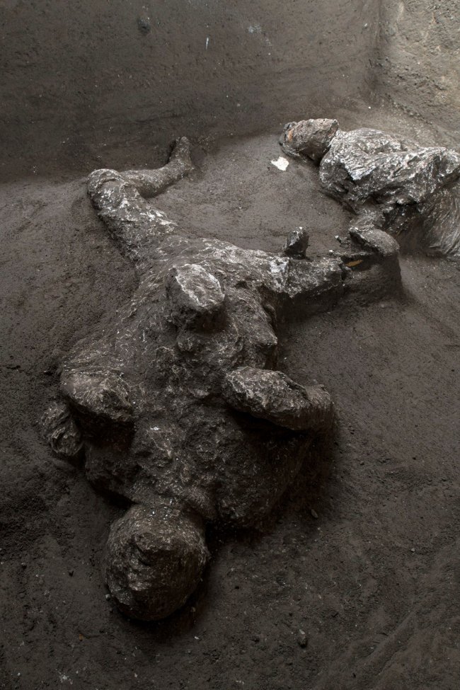 У Помпеях знайшли останки двох жертв виверження Везувію. ФОТО