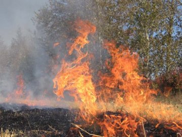 Через необережність поблизу волинського села виникла пожежа