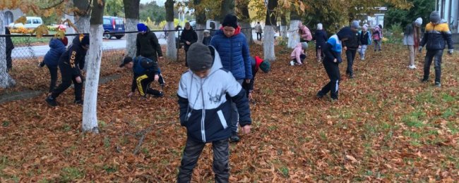 На Волині школярі збирали каштани на пам’ятник воїнам АТО/ООС.ФОТО.ВІДЕО
