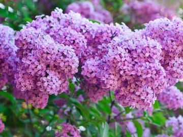 14 травня – яке сьогодні свято та що не можна робити в цей день