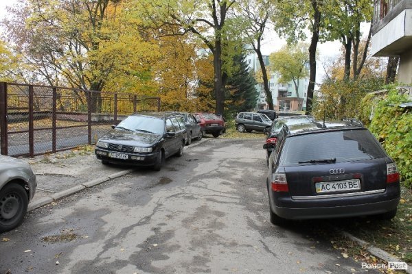 «Якщо жінка забеременніла в лісі, то що, лісники мають аліменти платити?» - головний лісівник Волині