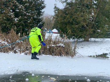Луцькі рятувальники врятували життя травмованій дикій качці