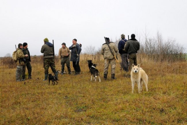 На Волині впіймали мисливців, які полювали з порушеннями