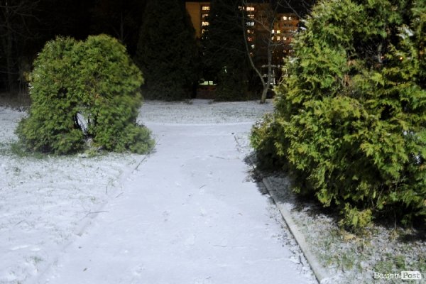 Сніг у Луцьку. ФОТО