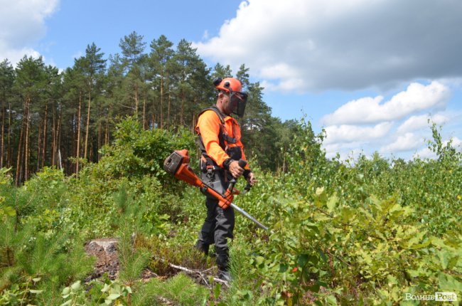 Потрібно доглядати: навіщо журналістів вивезли до Скулинського лісу