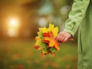 Погода у Луцьку на завтра, 14 листопада