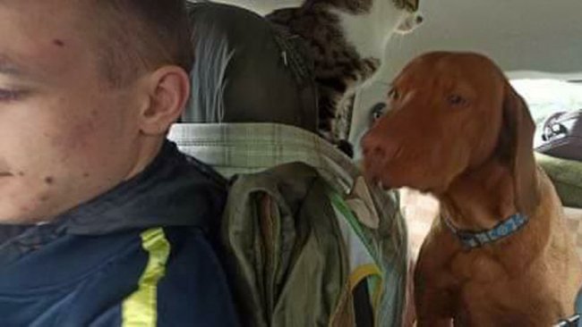 Херсонець у Луцьку відкрив ветеринарну клініку. ФОТО. ВІДЕО