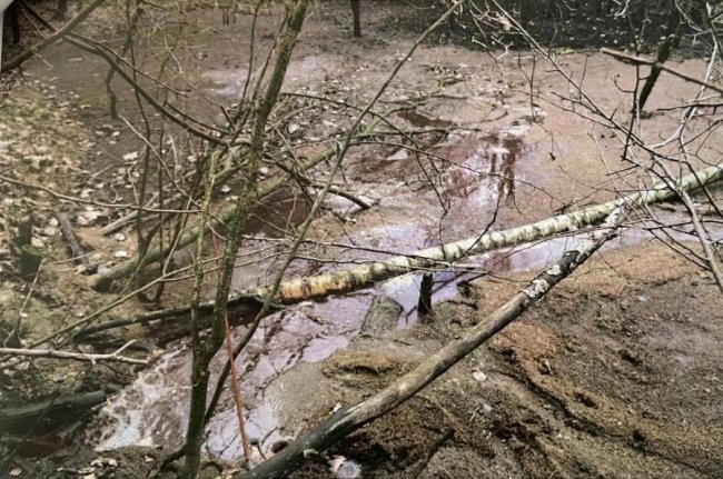 Сморід та шкідливі речовини: на Волині м'ясокомбінат забруднив землю відходами. ФОТО