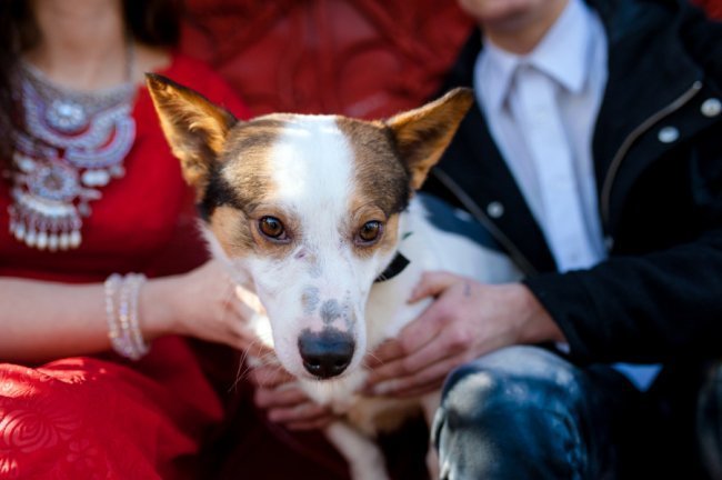 Любов Примакова - власниця салону краси, Едуард Приков - майстер креативного фарбування з собачкою Філіпом