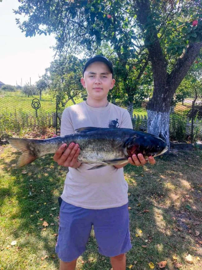 Хоче пов’язати майбутнє з медициною: 16-річний волинянин тричі перемагав онкологію