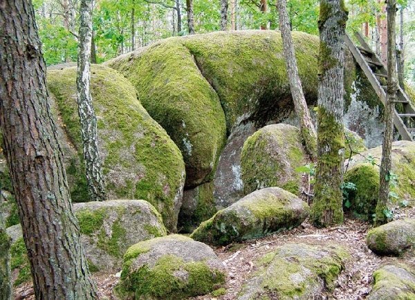 Неповторні місця України, які потрібно відвідати цієї осені. ФОТО. ВІДЕО