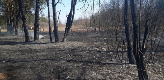 Волинські поліцейські та екологи ловили паліїв сухої трави