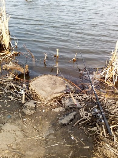 Нерестова заборона: на Волині за тиждень – десятки порушень правил рибальства. ФОТО