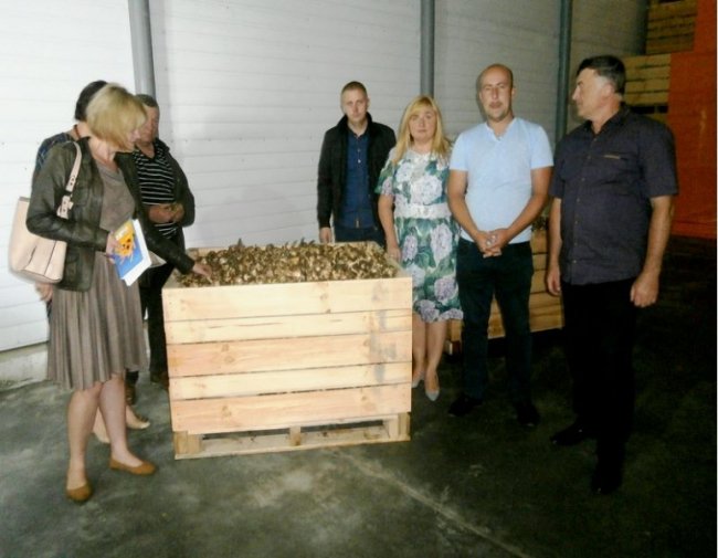 Розповіли про плани та перспективи насіннєвого заводу на Волині. ФОТО