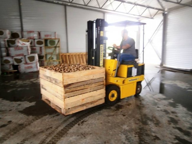 Розповіли про плани та перспективи насіннєвого заводу на Волині. ФОТО