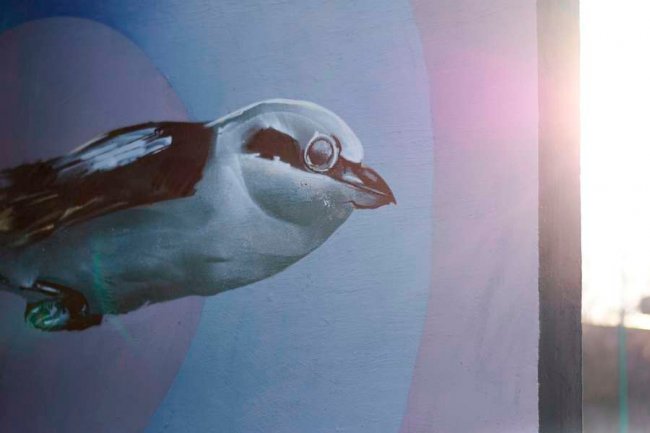 У луцькому «Сіті Парку» львів'янин створив нову експозицію вуличного мистецтва. ФОТО