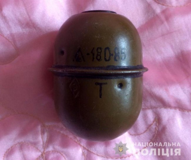 Волинянину загрожує до семи років в'язниці через домашній «арсенал» зброї і боєприпасів