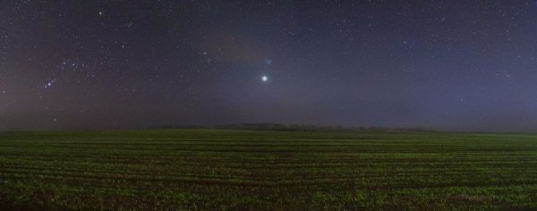 В Україні жнива: чому хліб наших бабусь – найсмачніший. ФОТО
