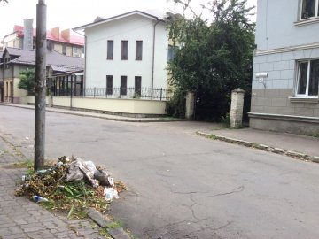 «Луцьк зас***ся»: лучанина обурило сміття в центрі міста