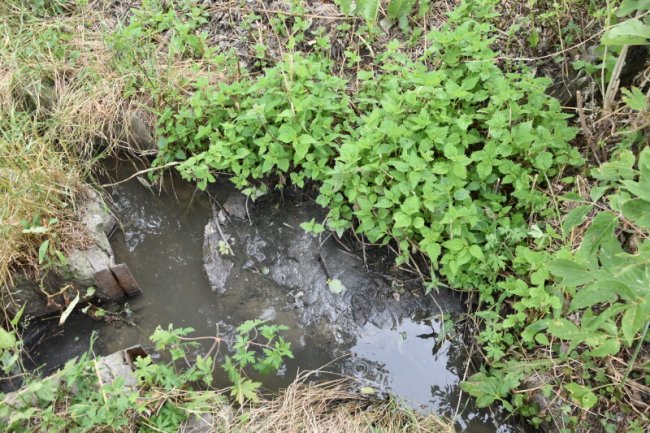 Проблема смороду у Луцьку: показали, що приміські села не мають нормальних очисних споруд