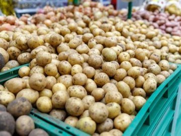 На Волині різко здорожчала картопля. ВІДЕО