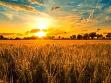 24 серпня – яке сьогодні свято: заборони і прикмети