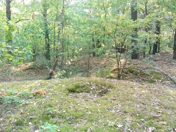 На Волині знайшли схрон УПА. ФОТО