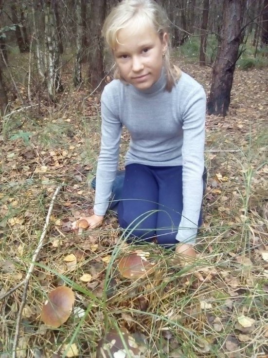 Тихе полювання-2: волиняни хваляться врожаєм грибів у Facebook