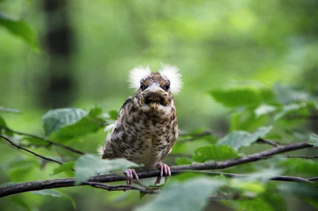 Волинський фотограф показав неймовірну природу Волині у різні пори року. ФОТО
